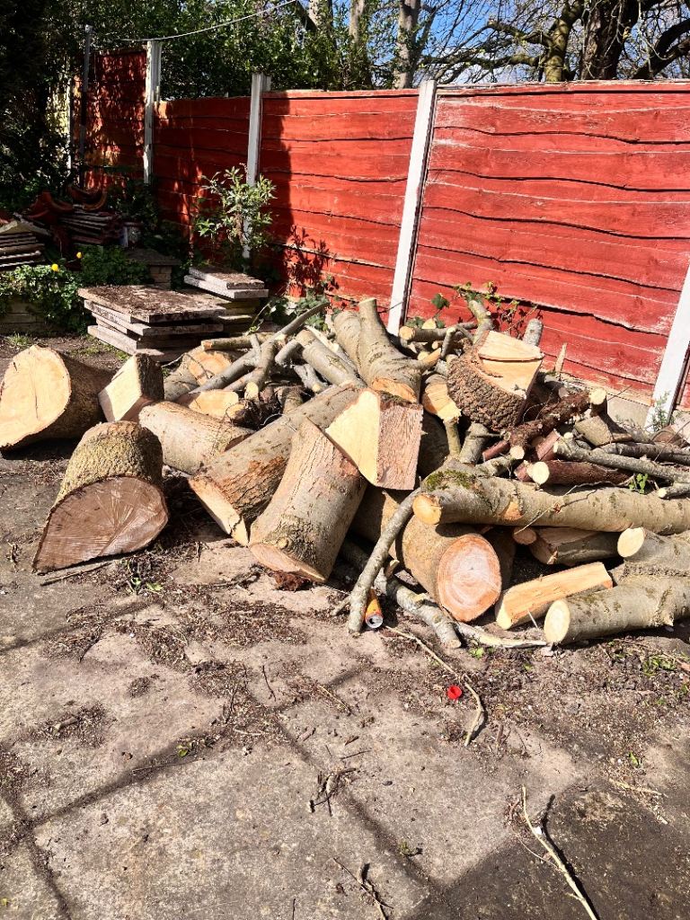 Freshly Cut Timber Wood Logs for Garden or Firewood