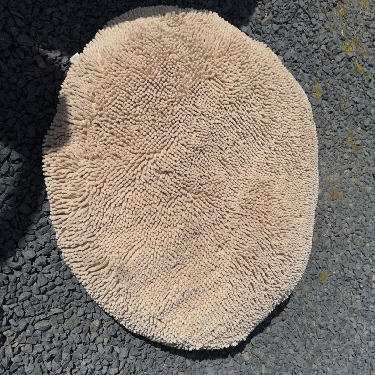 Dog bed