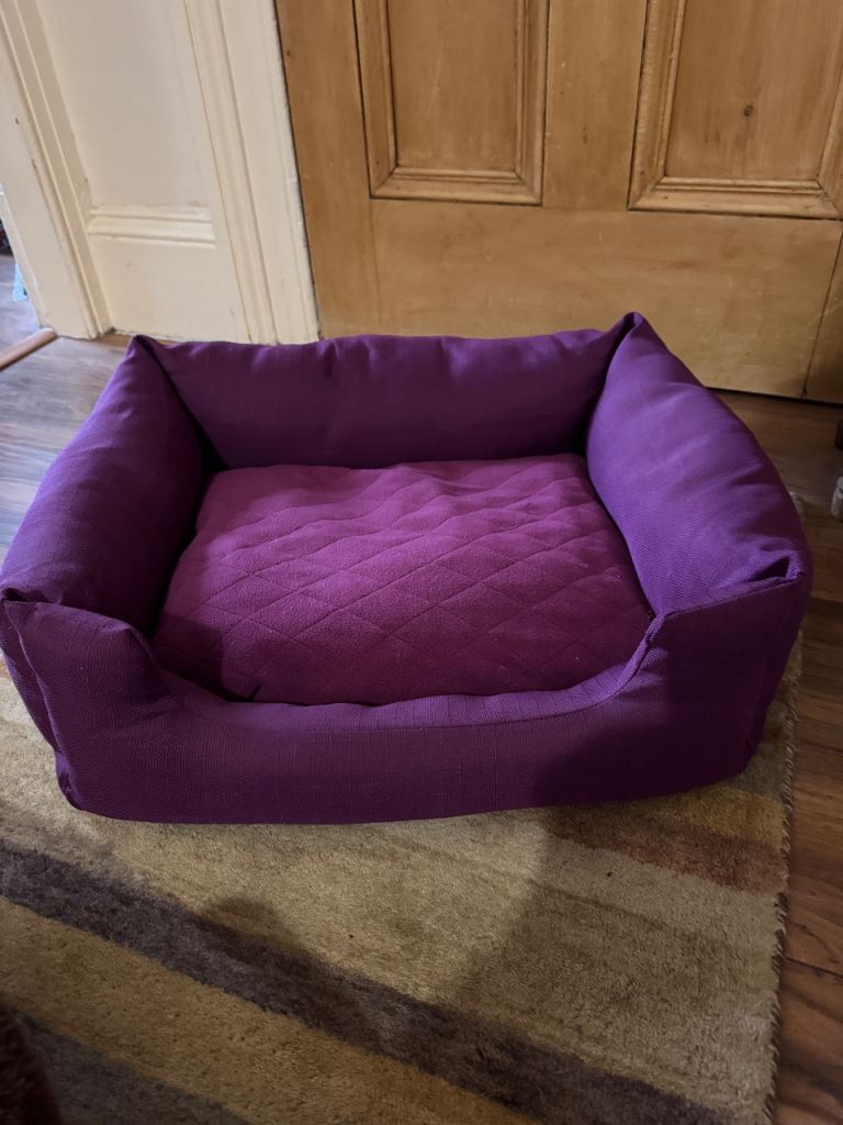 Dog Beds and Feeding Stand - Unused