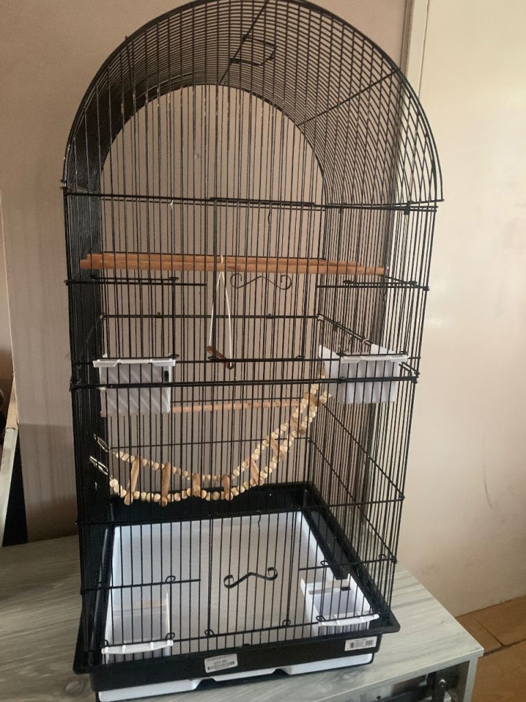 Bird Cage 