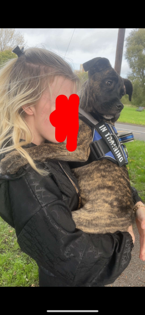 Last Reduction! nova 