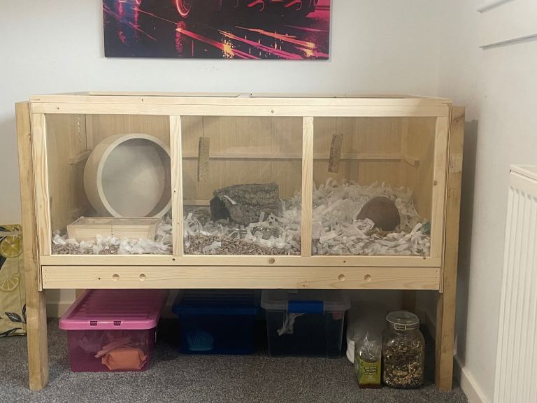Hamster cage 