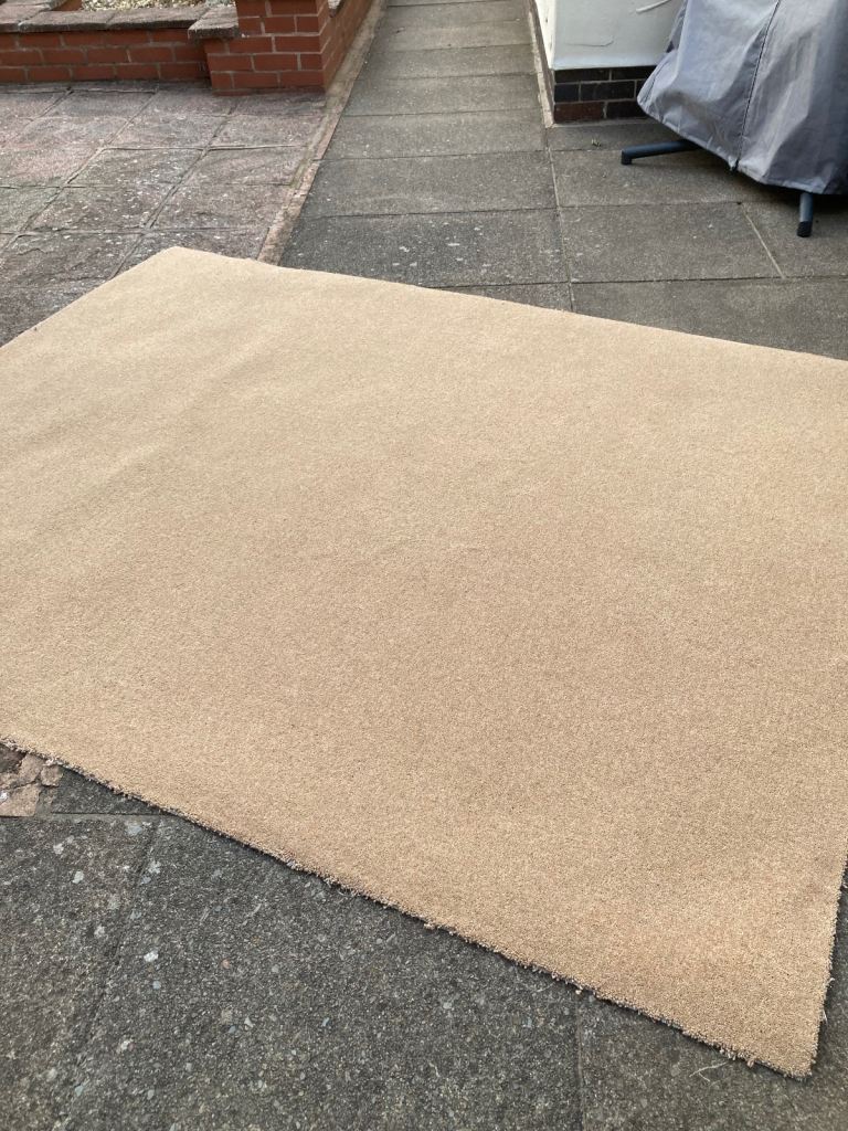 image for Carpet remnant brand new