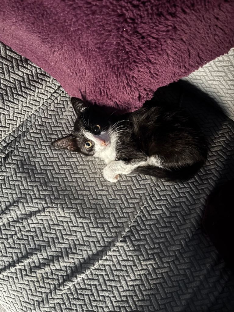 Born 10th march 