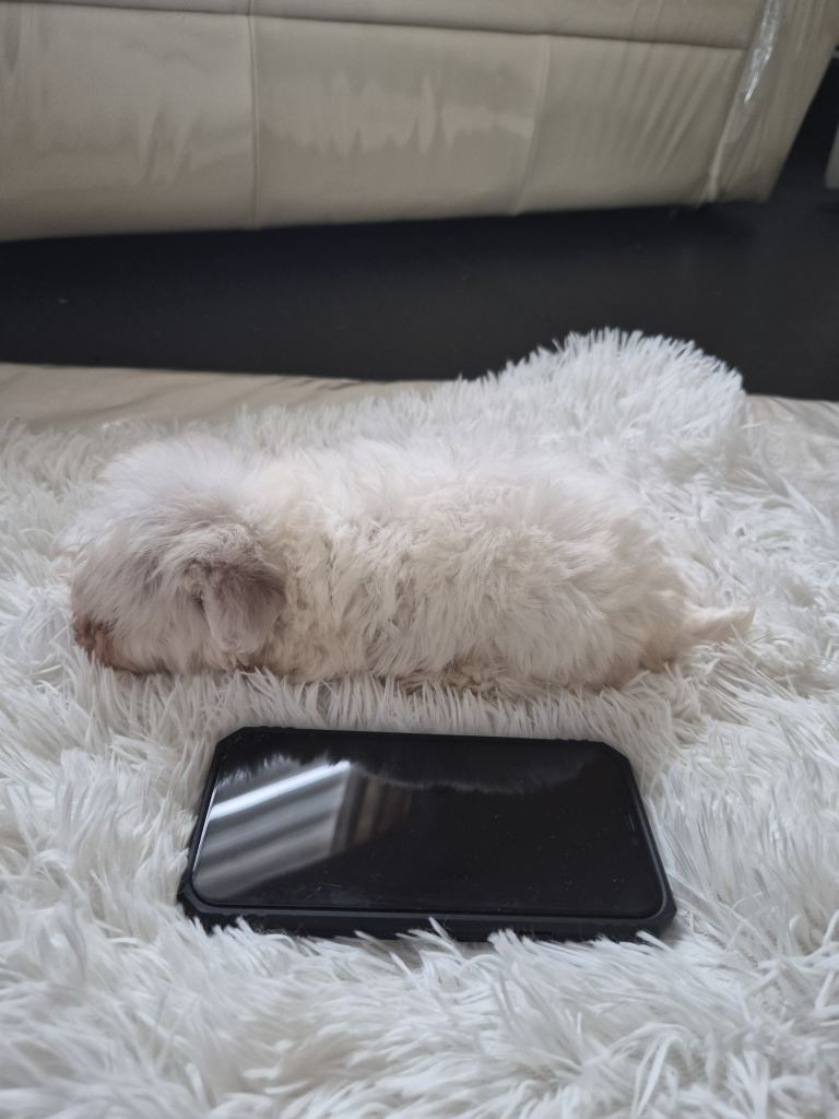 Beijan freeze ready.ready to leave 