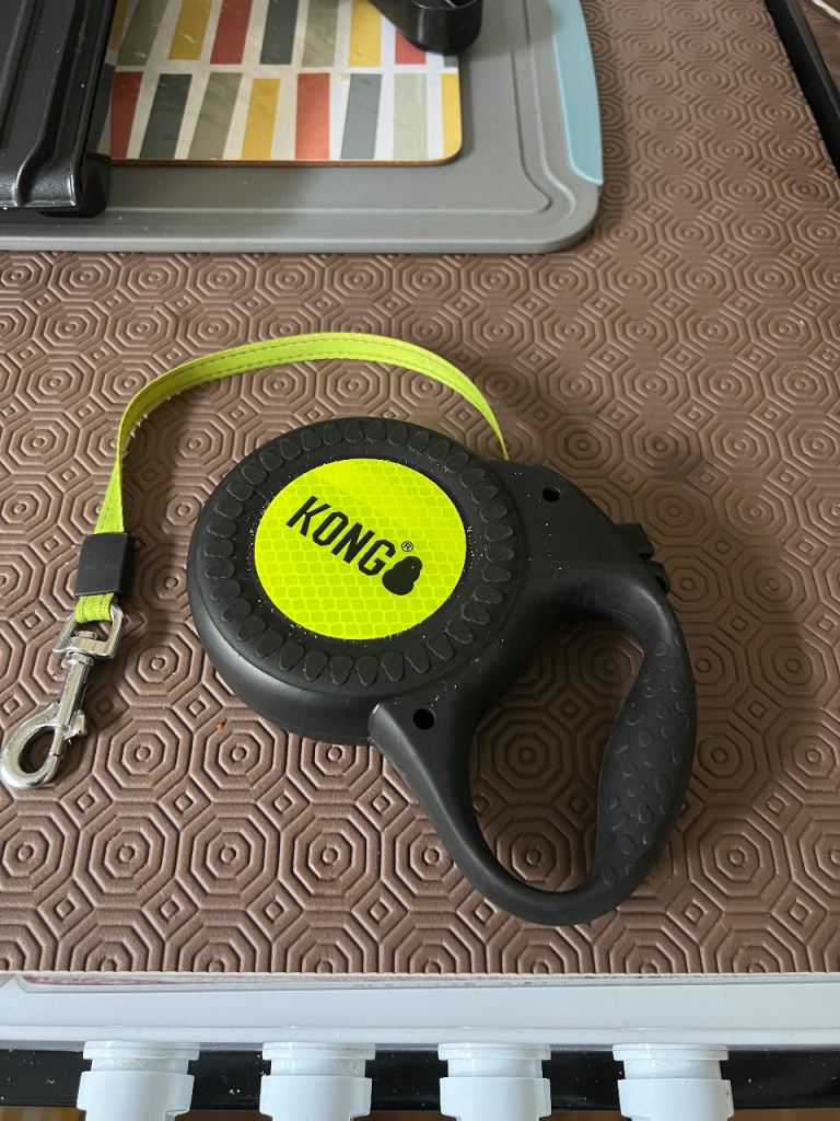 Dog lead by kong