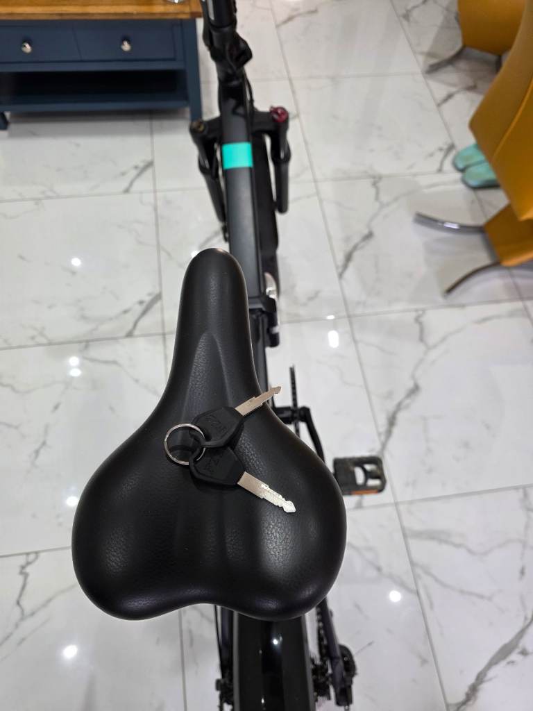 FIIDO M21 ELECTRIC FOLDING BIKE  WITH TORQUE SENSOR