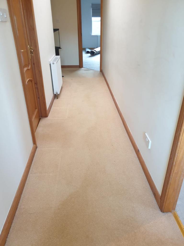80% Wool Carpet 3 cuts 