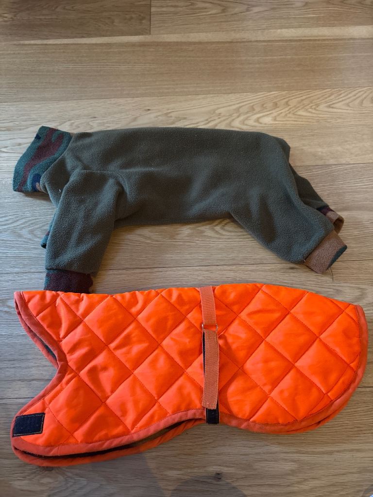 Italian Greyhound Coat and Fleece