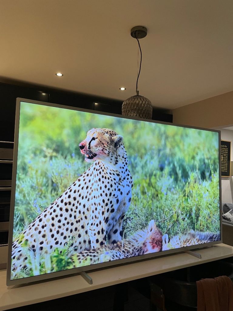 Phillips 65 inch Smart 4K Ultra HD TV