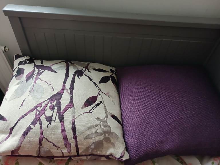 Cushions x 2