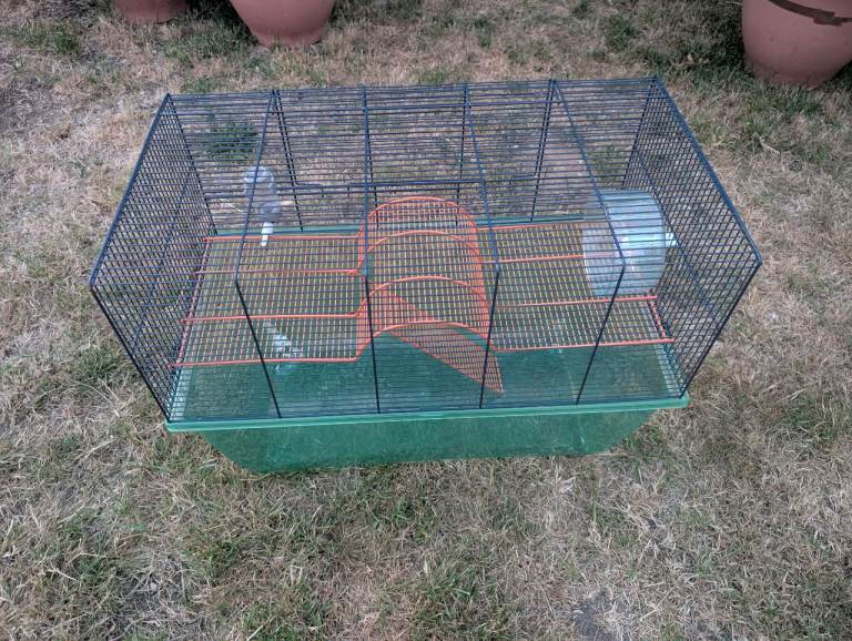 Gerbil Cage 