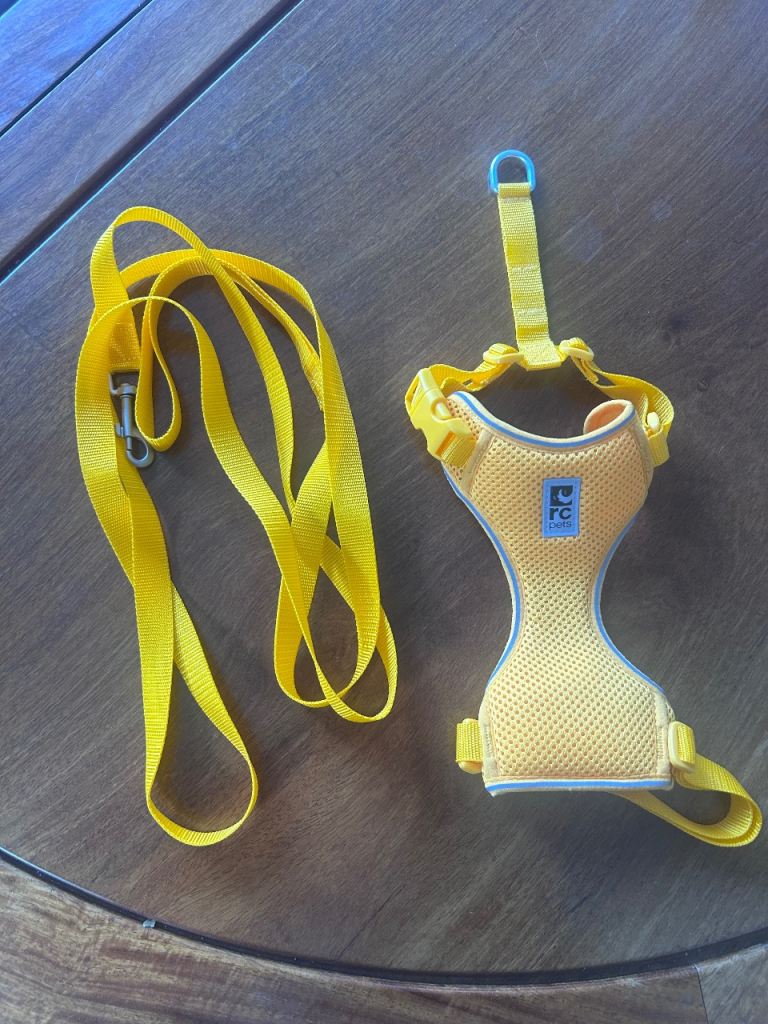 Cat Walking Harness from RC Pet products, never worn