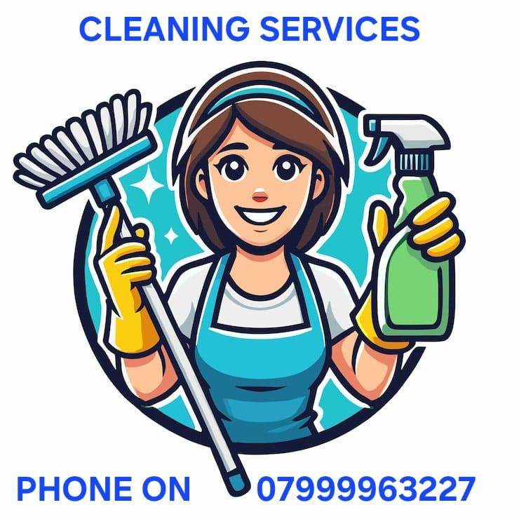 Belfast & Lisburn cleaning services