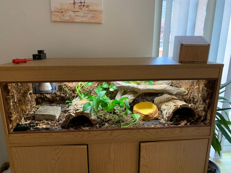 4ft x 1.5 ft x 1.5ft Viv Exotic & Cabinet 