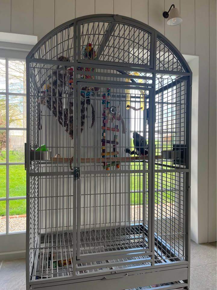 Rainforest Rio Ara Dome Parrot Cage