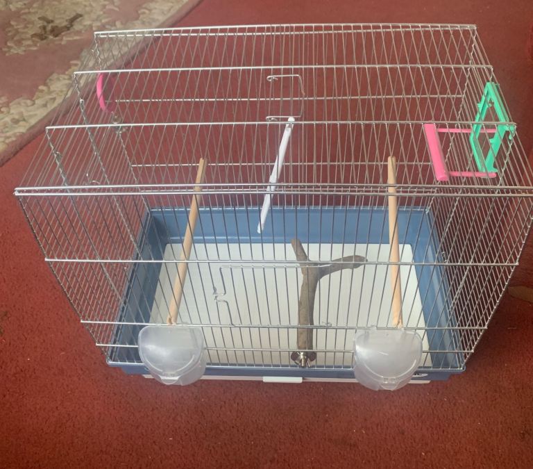 Bird Cage