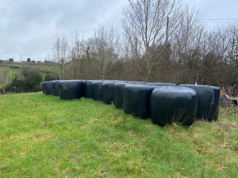 2025 Silage Bales