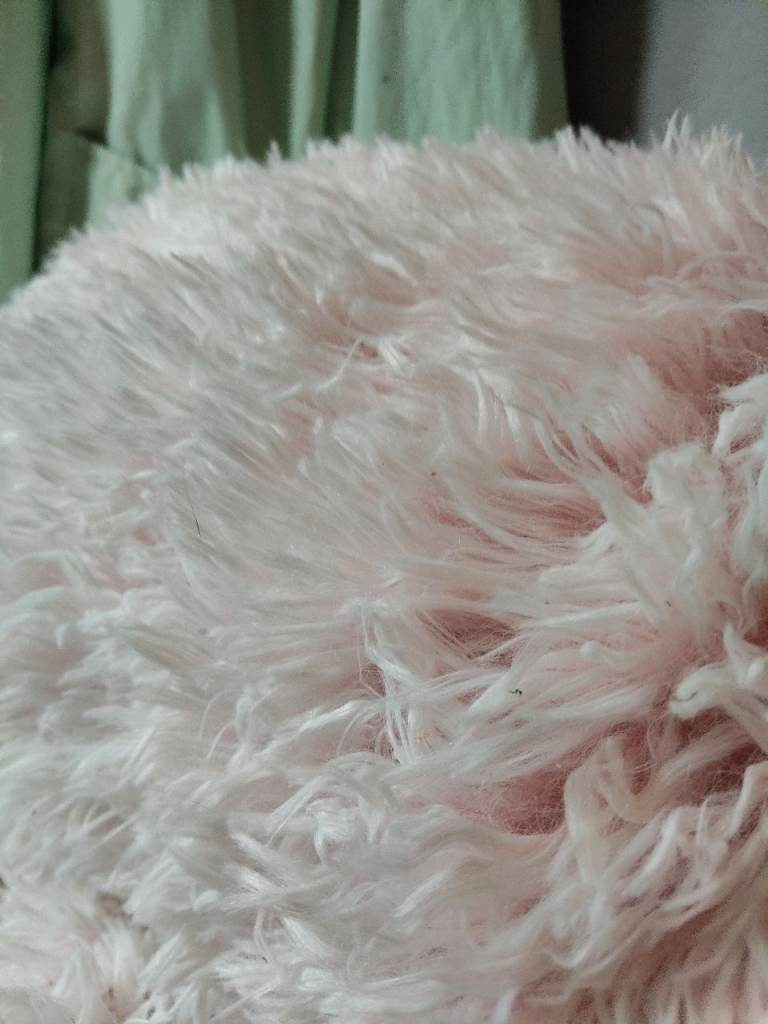Human sized dog bed