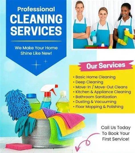Domestic Cleaners and commerical over 40 yeras Experience