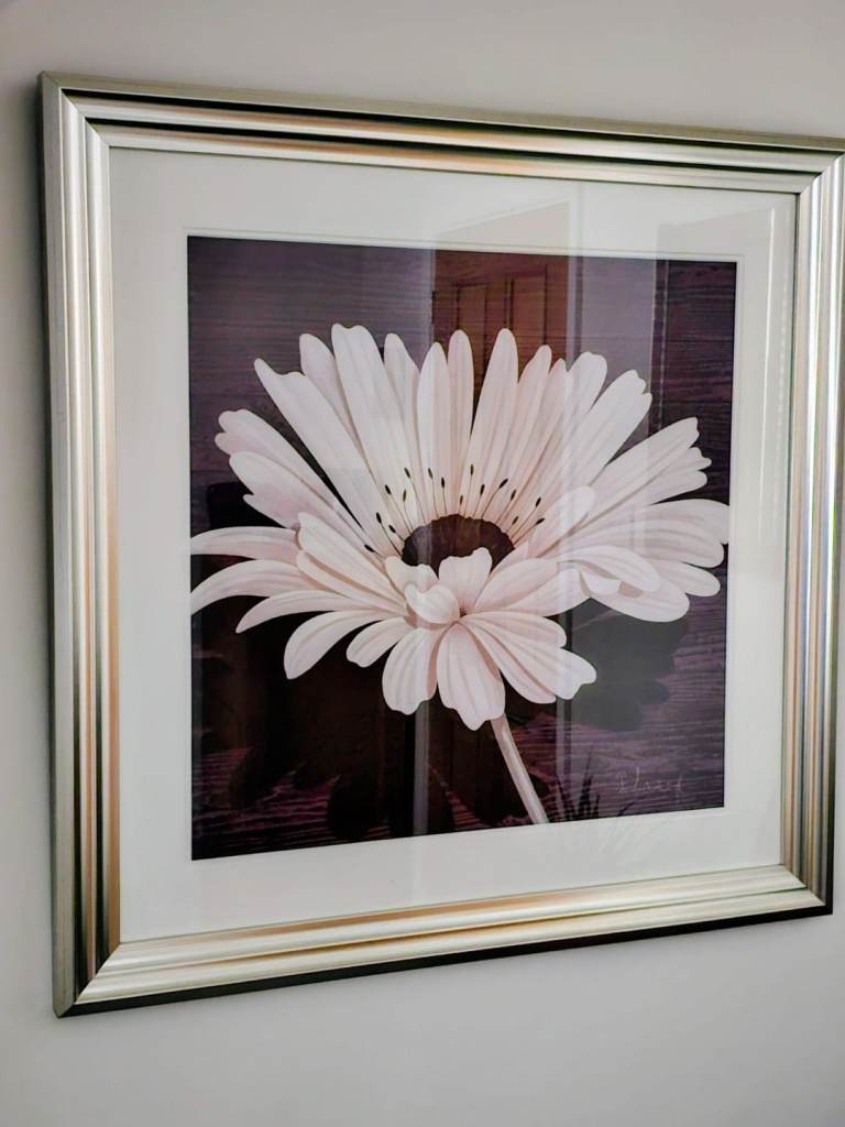 Flower picture in matt silver frame