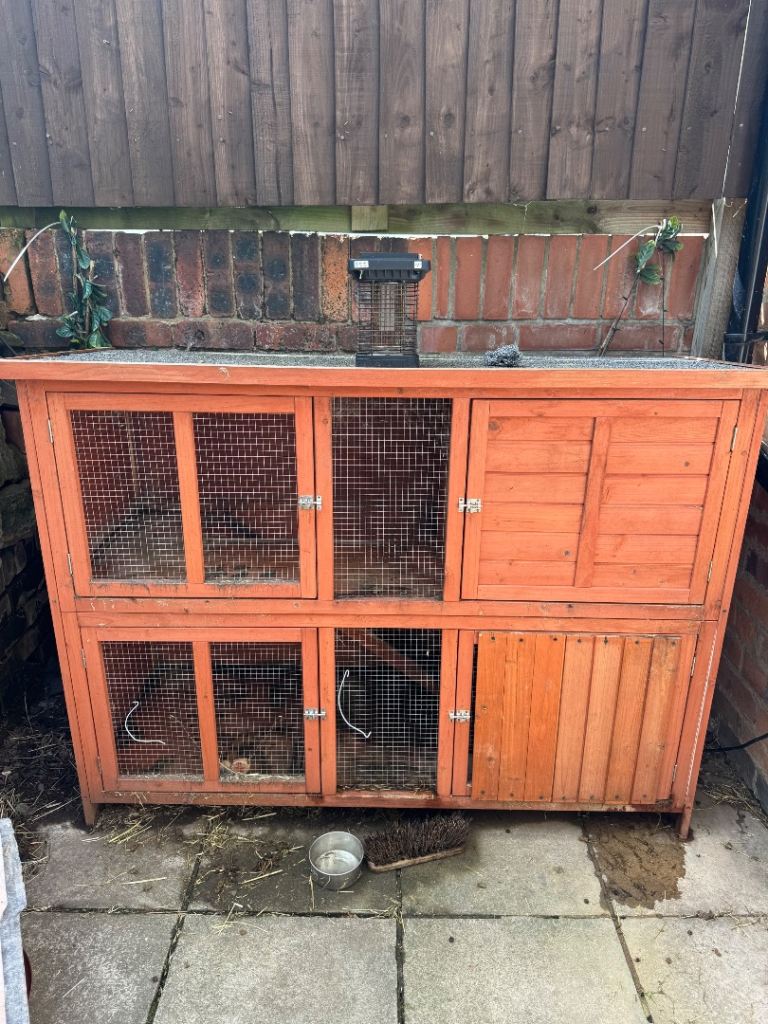 Rabbit hutch 