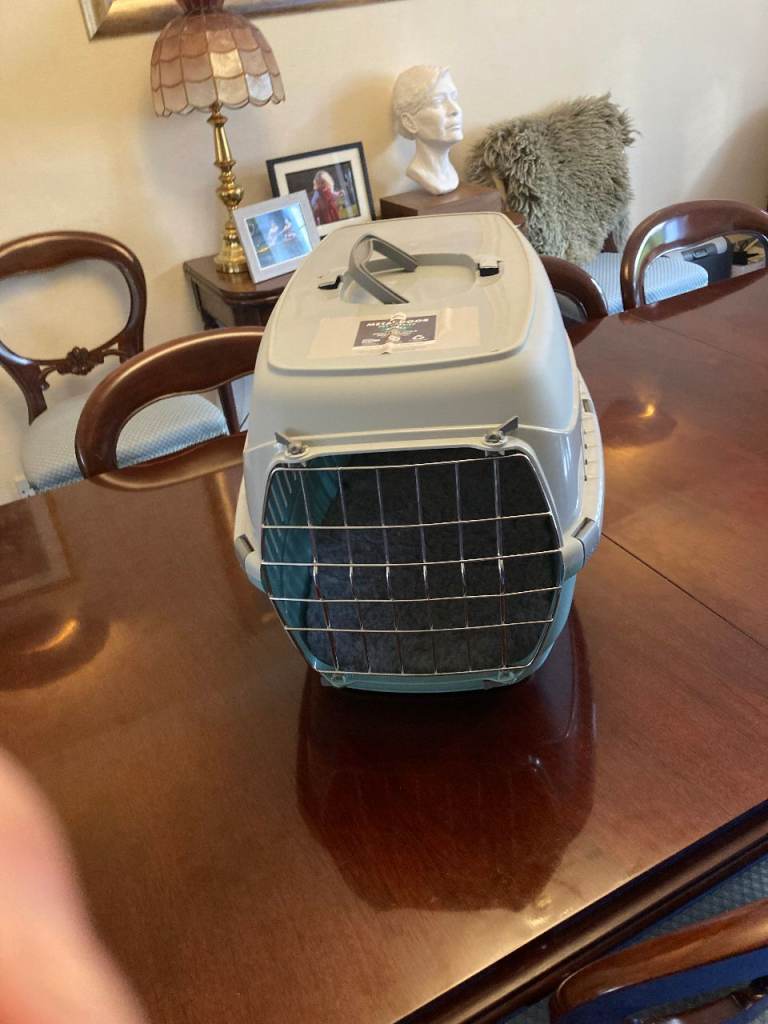 Small pet carrier with metal door