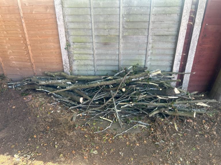 Garden Wood Branches for Firewood or Crafts – Good Condition