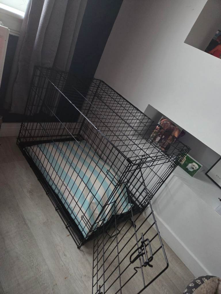 Dog crate 