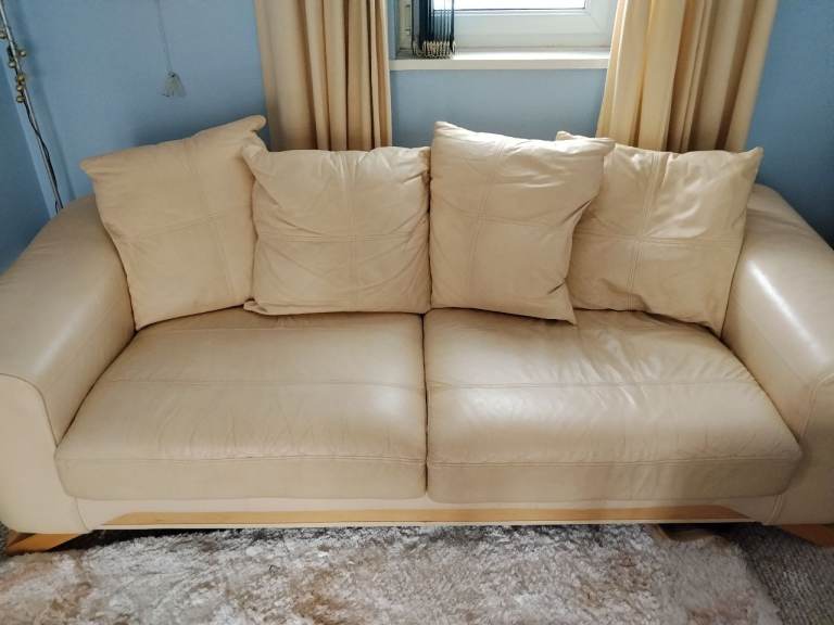 Free Leather Sofa