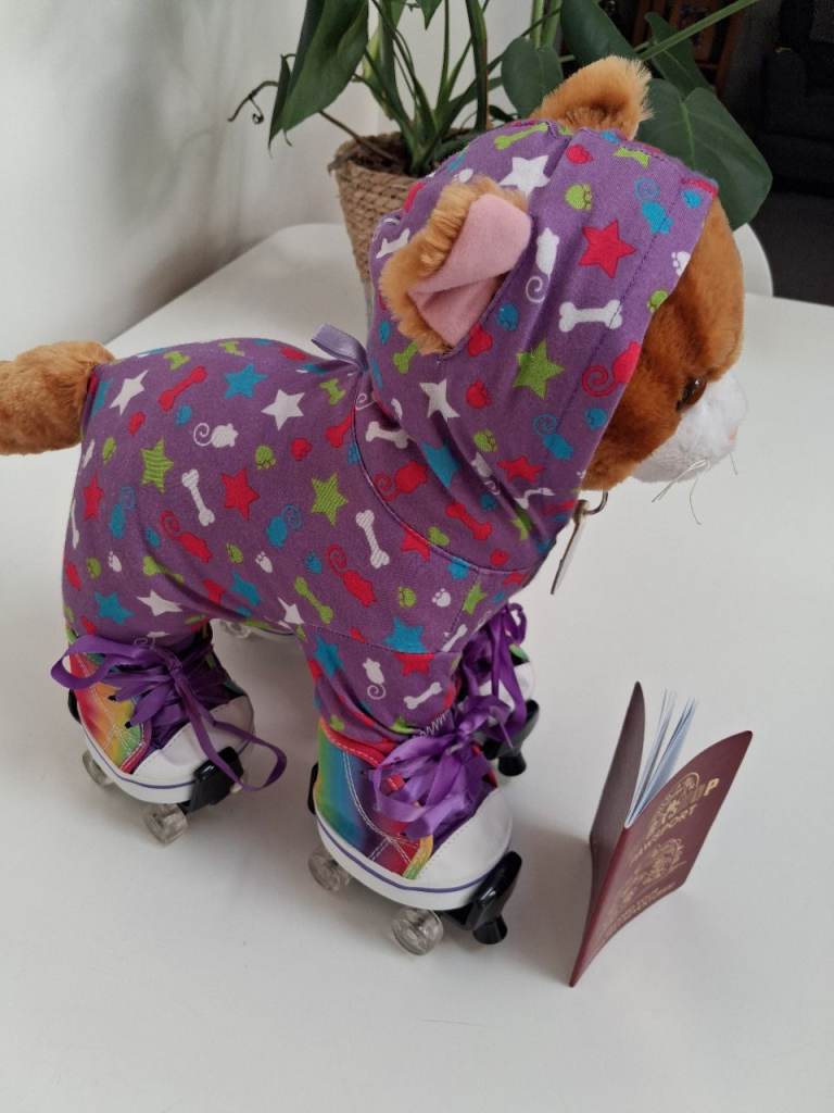 Build-A-Bear Cat with Roller Skates and Outfit – Good Condition