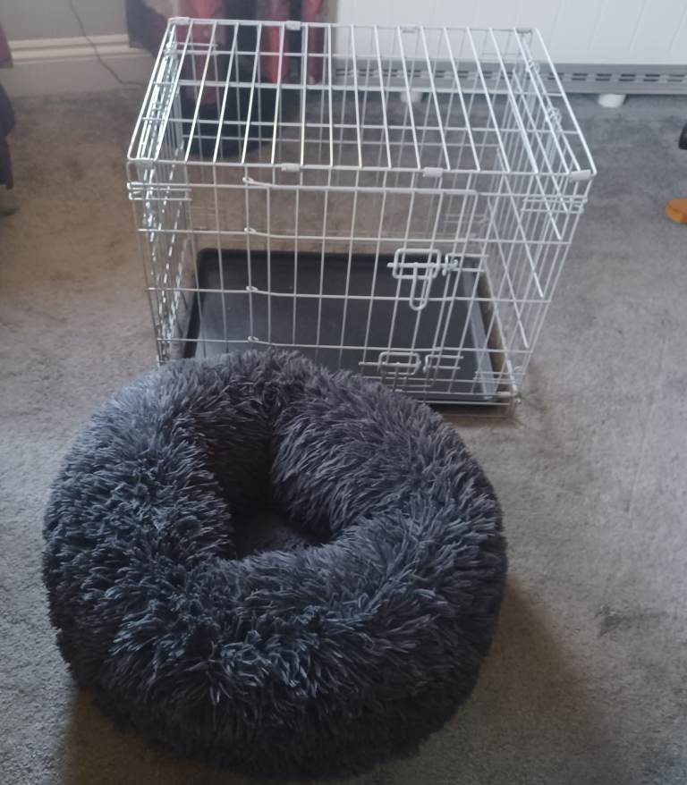 Small Dog Crate and Donut Bed
