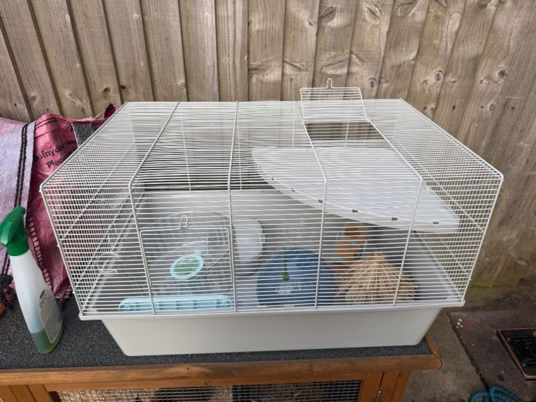 Hamster cage and accessories 