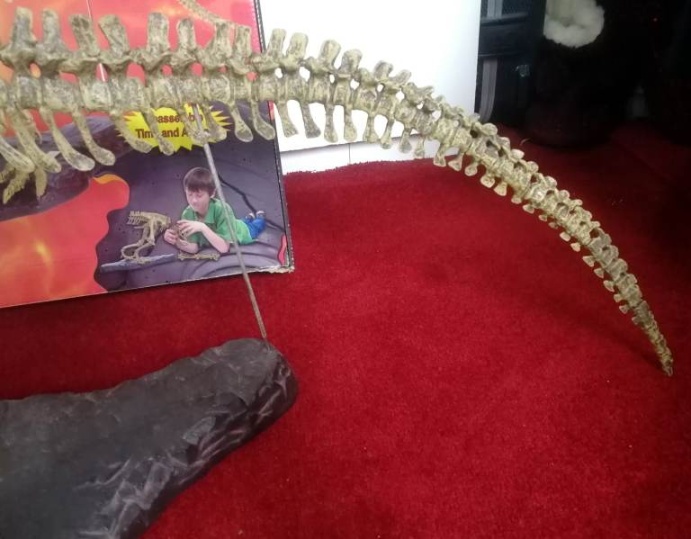 T-REX SKELETON 45"long Dinosaur Model kit 1/10 Scale Building STEM by B.C. Bones