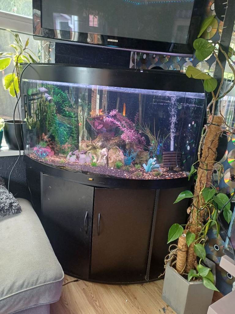 Juwel 350 fish tank