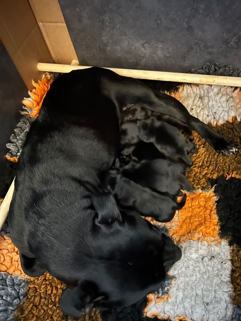 Looking for active homes