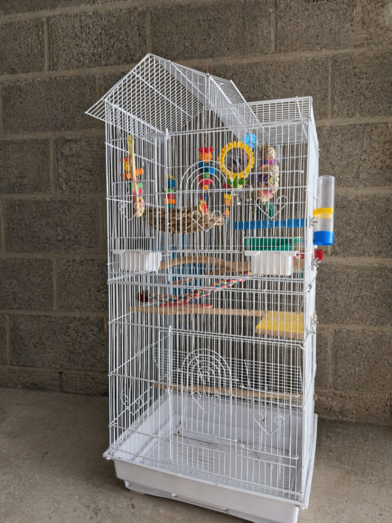 Bird Cage – Large White Multi-Level Cage with Accessories