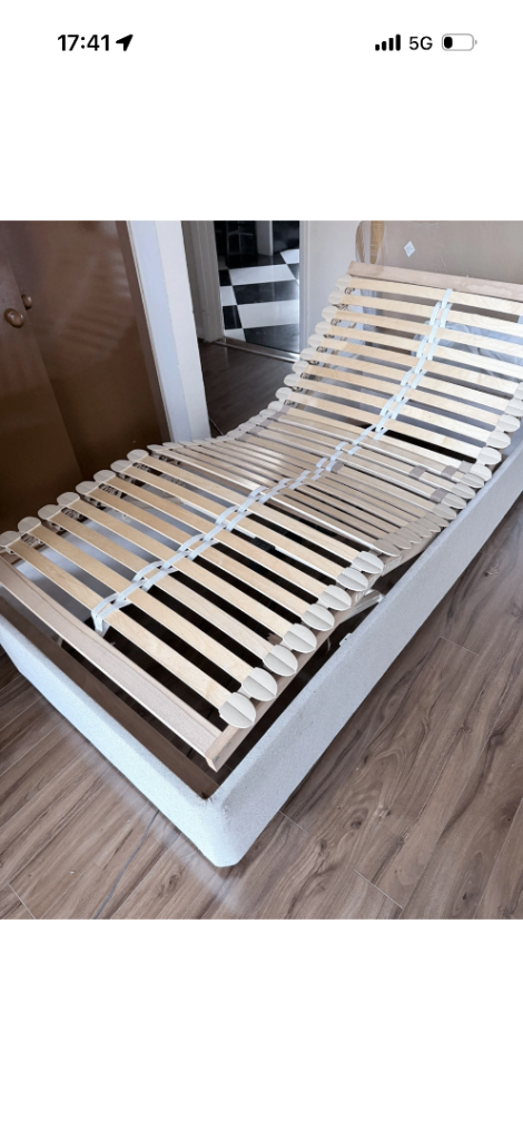 Adjustable Electric Single Bed: Rise and Recline with mattress 