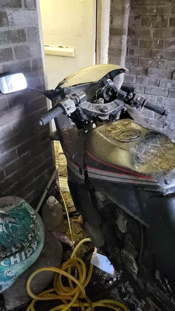 Kawasaki, 1987, 399 (cc)