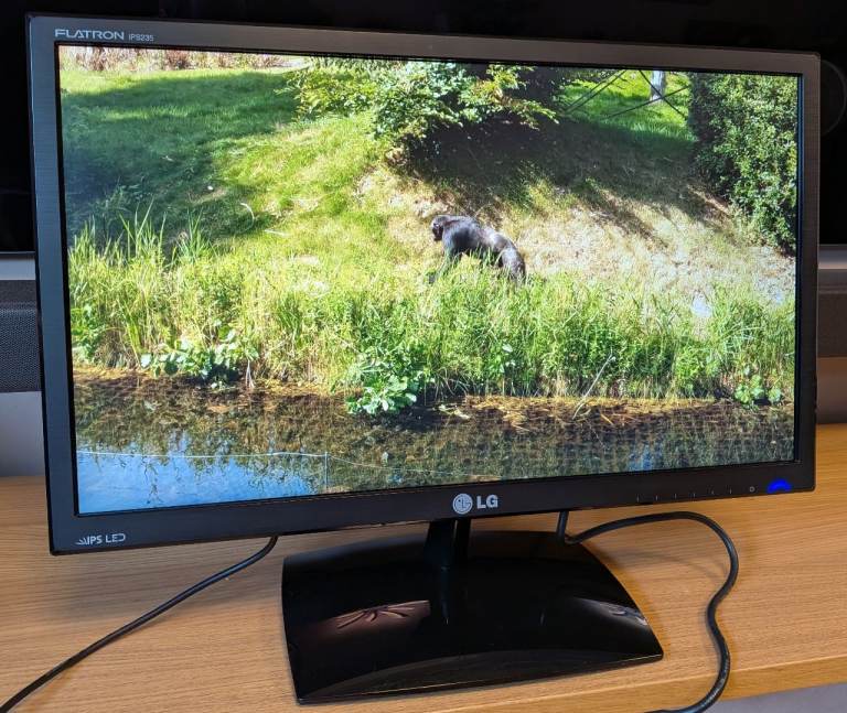 LG FLATRON IPS235V-BN 23" (inch) Monitor (IPS Display)