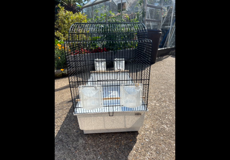 Bird Cage