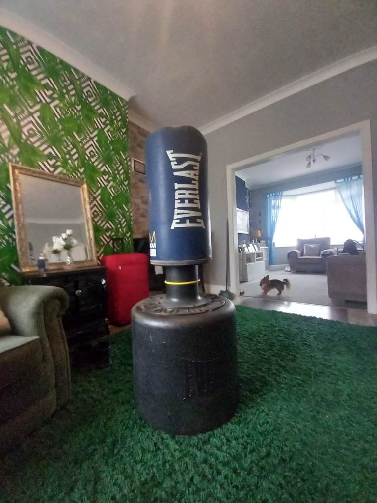 Punch Bag Everlast