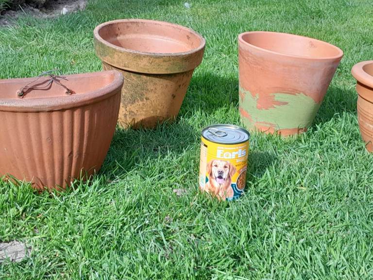 Terracotta plant pots £4 each