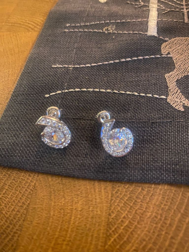 Silver earrings