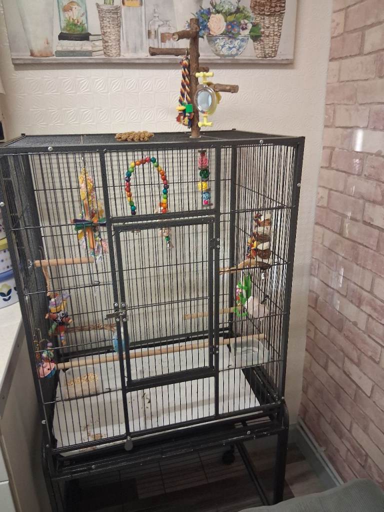 Large bird cage