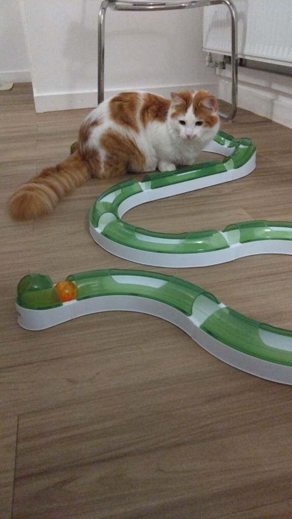 Interactive Cat Toy and Puzzle Feeder