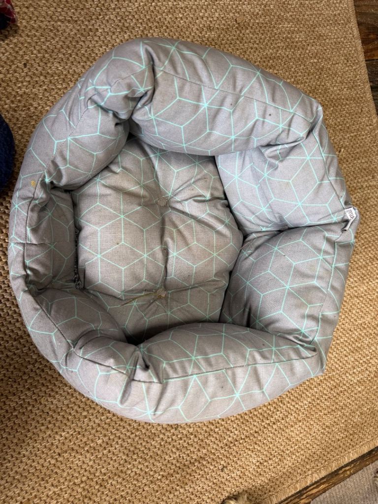 Cute cosy cat bed 