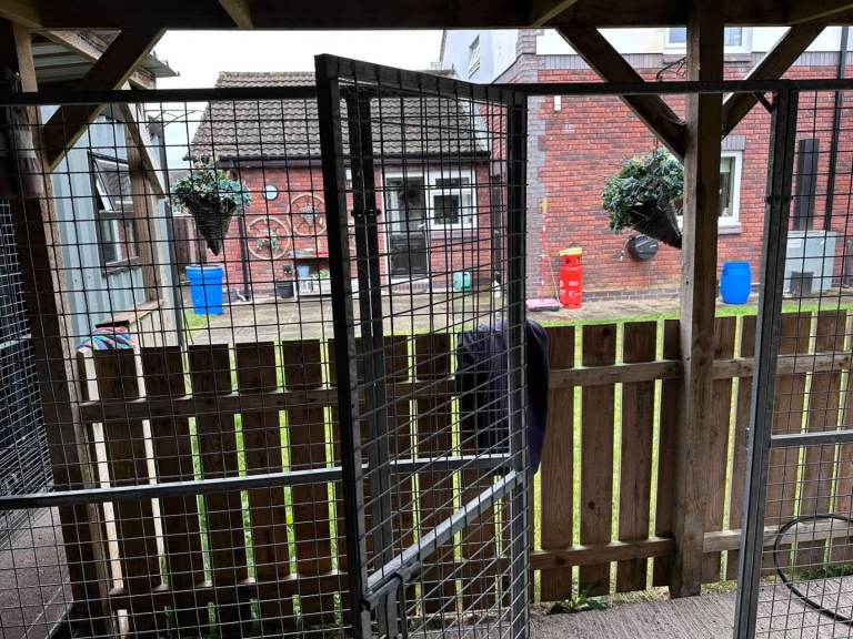 3 dog pen sides with door (8x8)