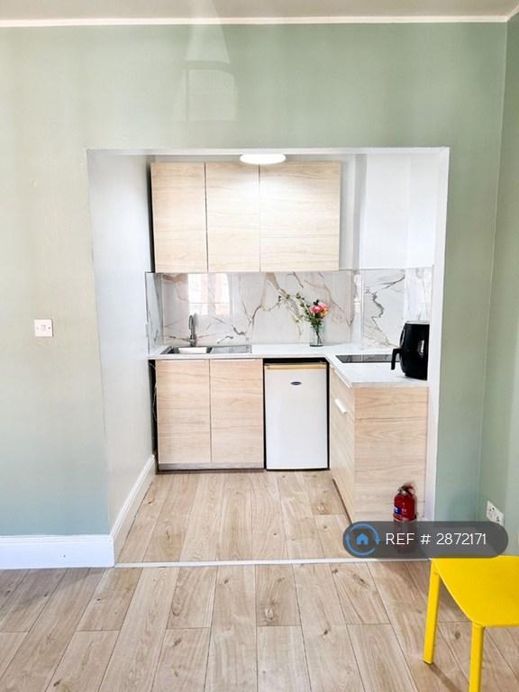 Studio flat in Leicester, Leicester, LE3 (#2872171)