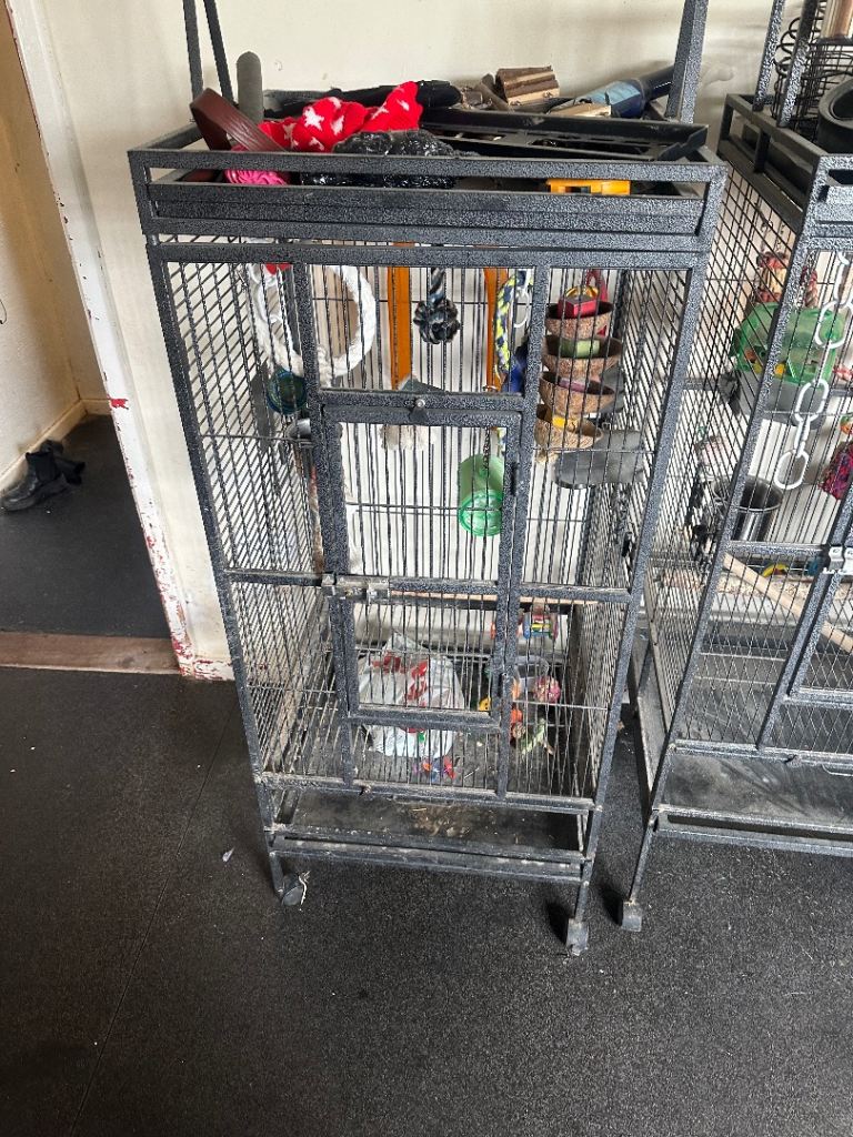 Two bird cages 75 each or both for 100 